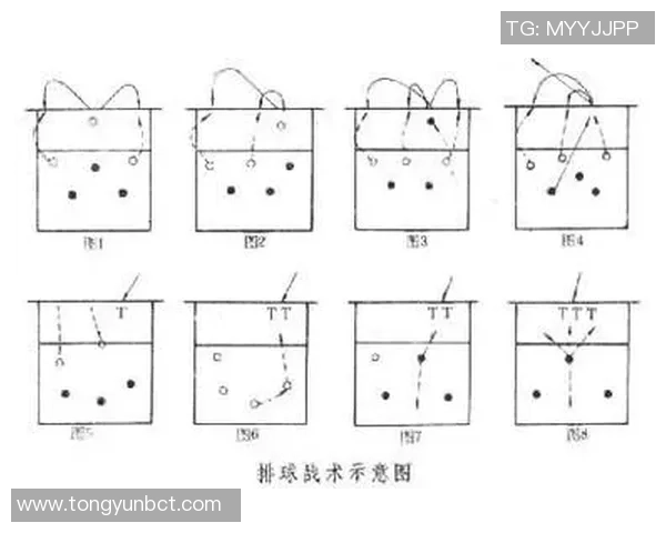 深入分析西安排球队反击战术的核心理念与实践技巧